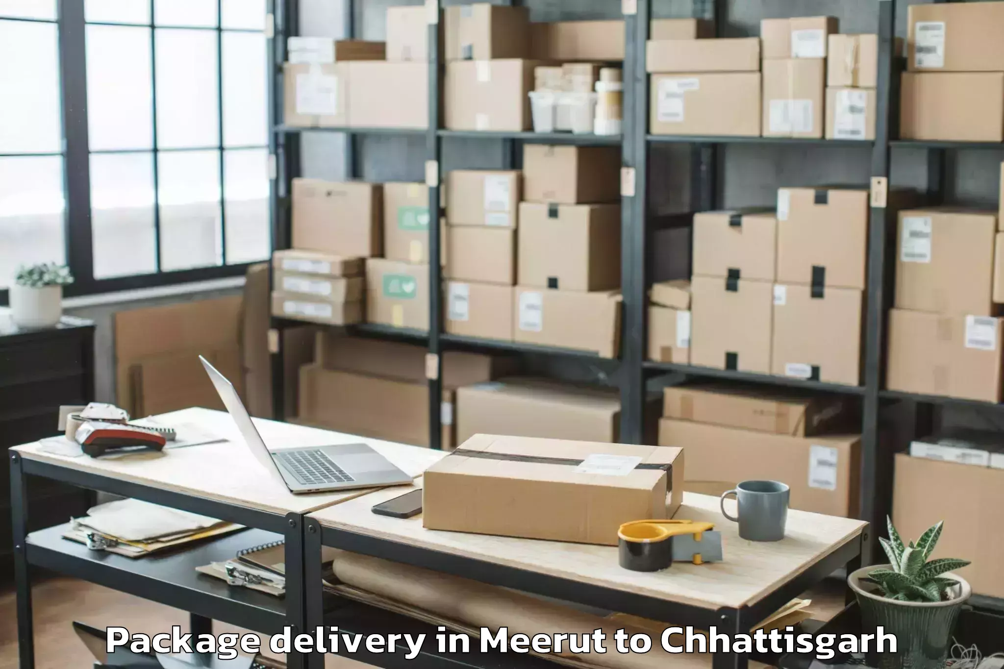 Meerut to Op Jindal University Raigarh Package Delivery Booking